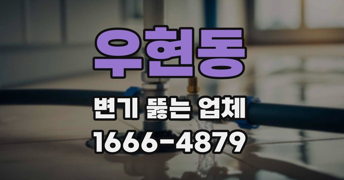 우현동 변기 뚫는 업체