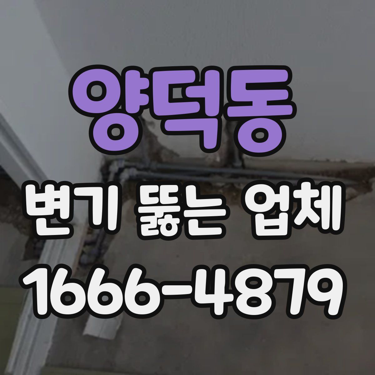양덕동 변기 뚫는 업체