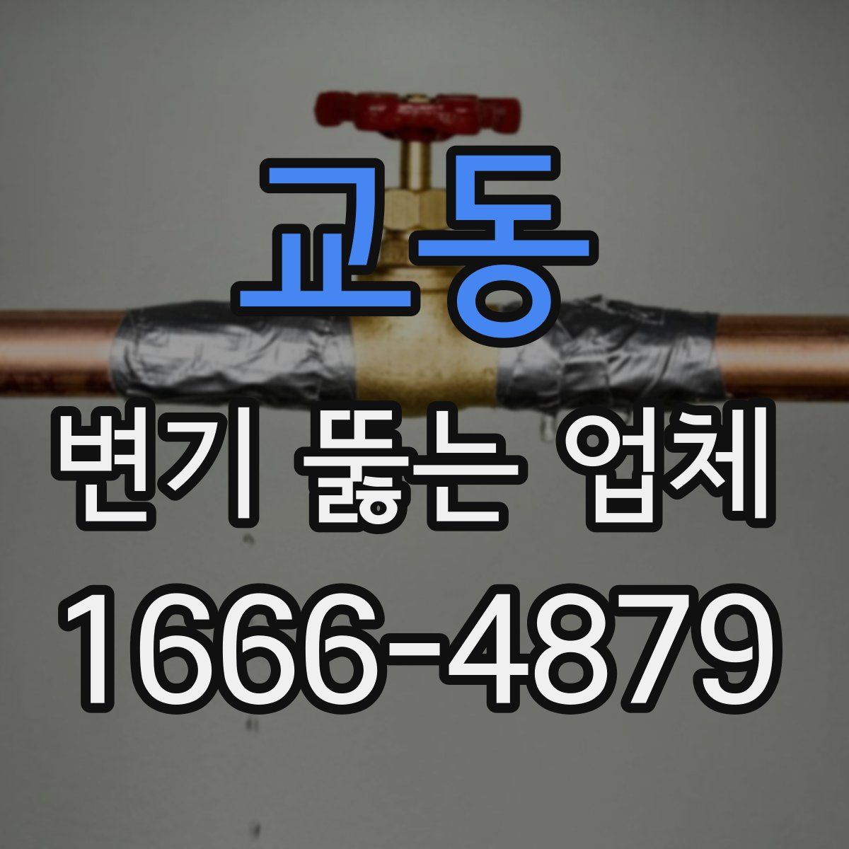 교동 변기 뚫는 업체