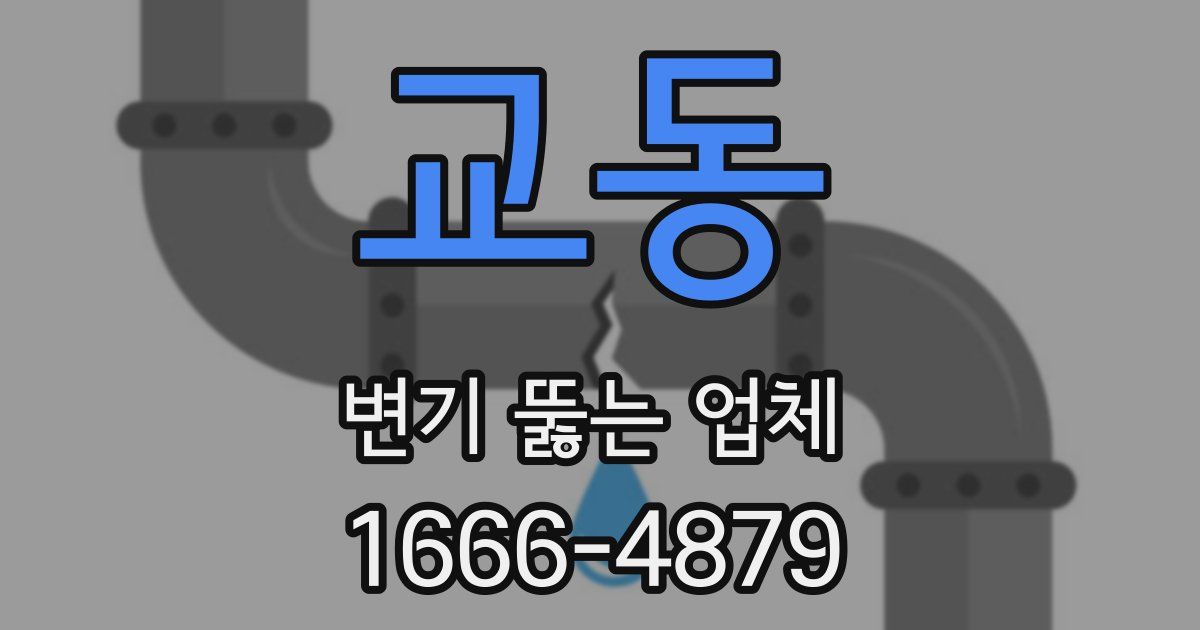 교동 변기 뚫는 업체