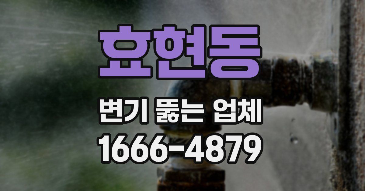 효현동 변기 뚫는 업체