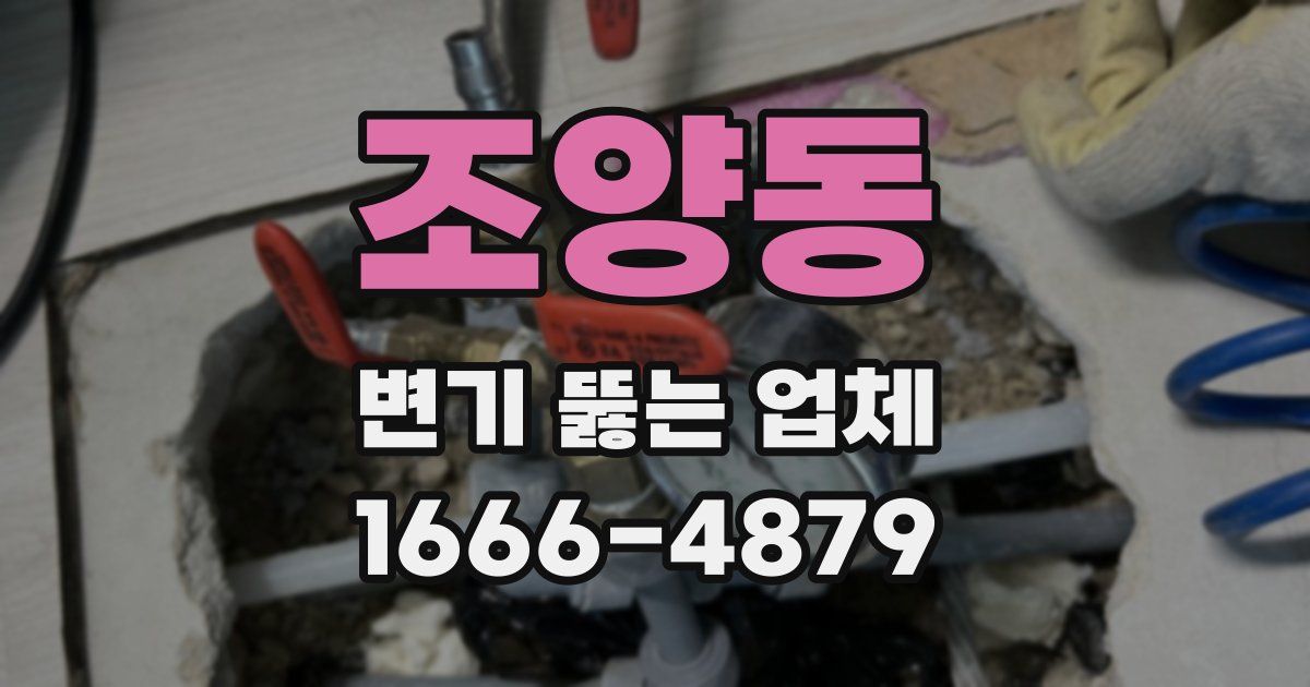 조양동 변기 뚫는 업체