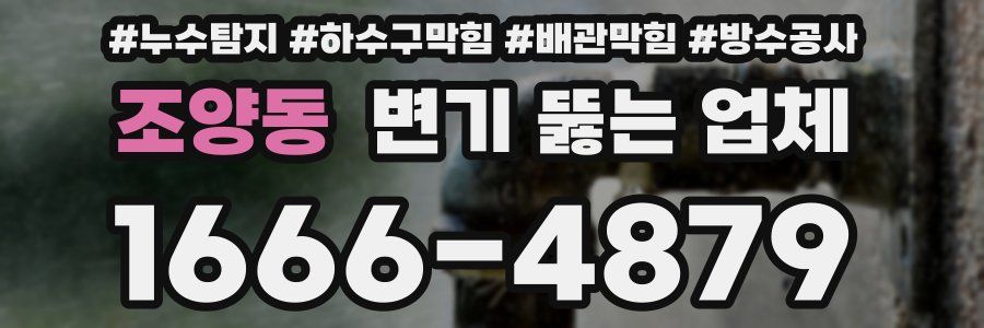 조양동 변기 뚫는 업체