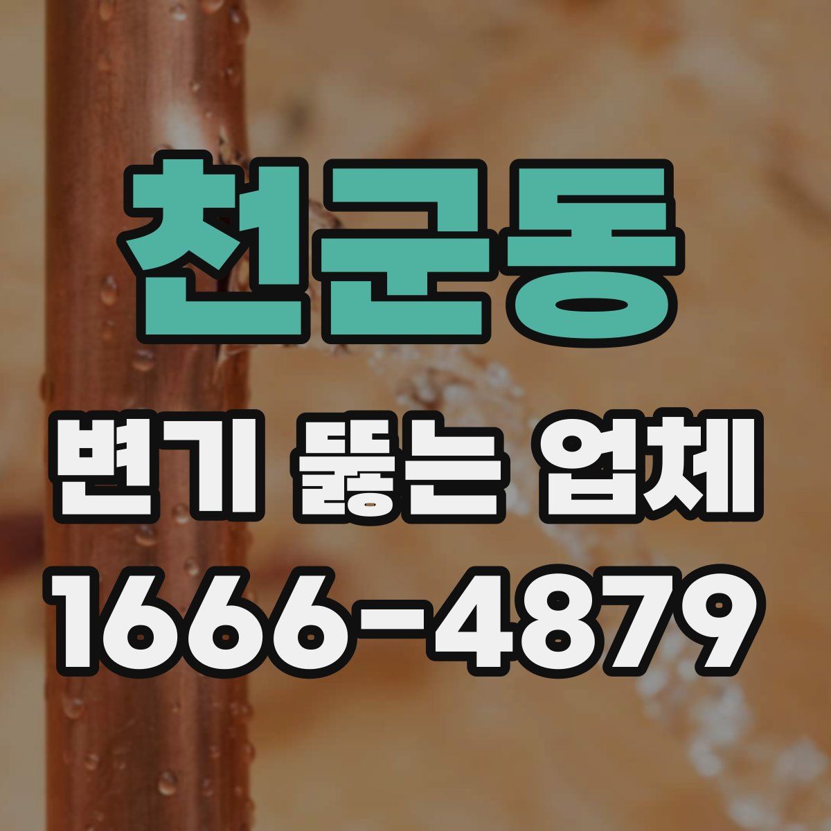 천군동 변기 뚫는 업체