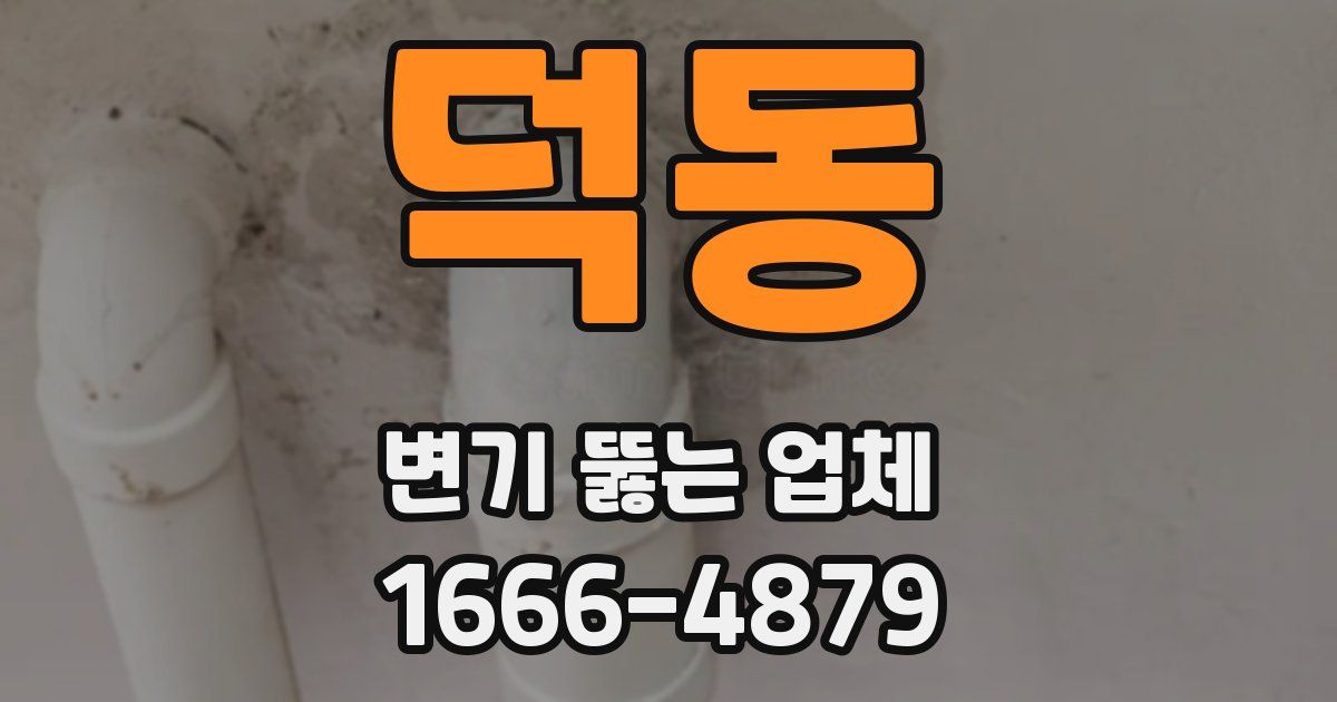 덕동 변기 뚫는 업체