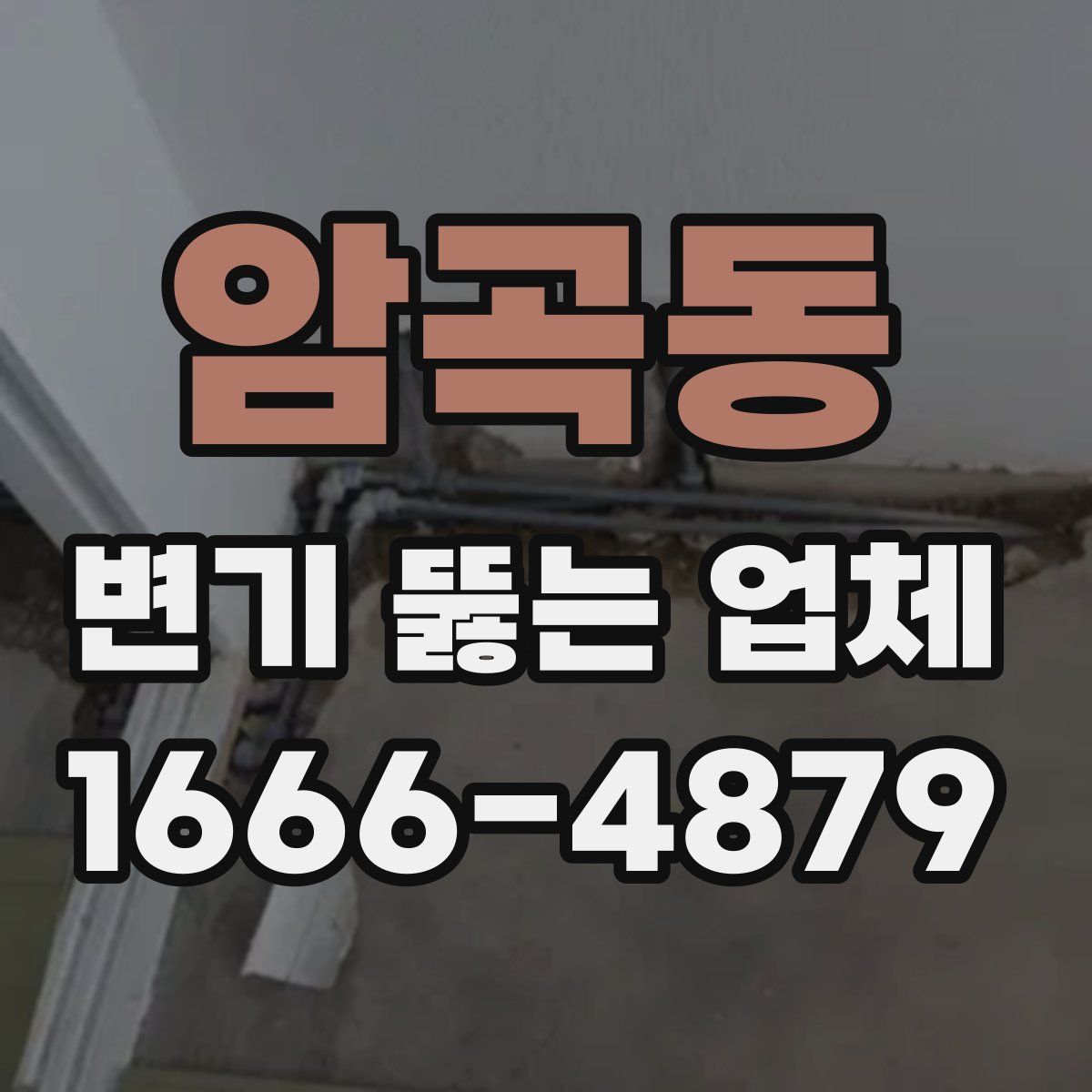 암곡동 변기 뚫는 업체