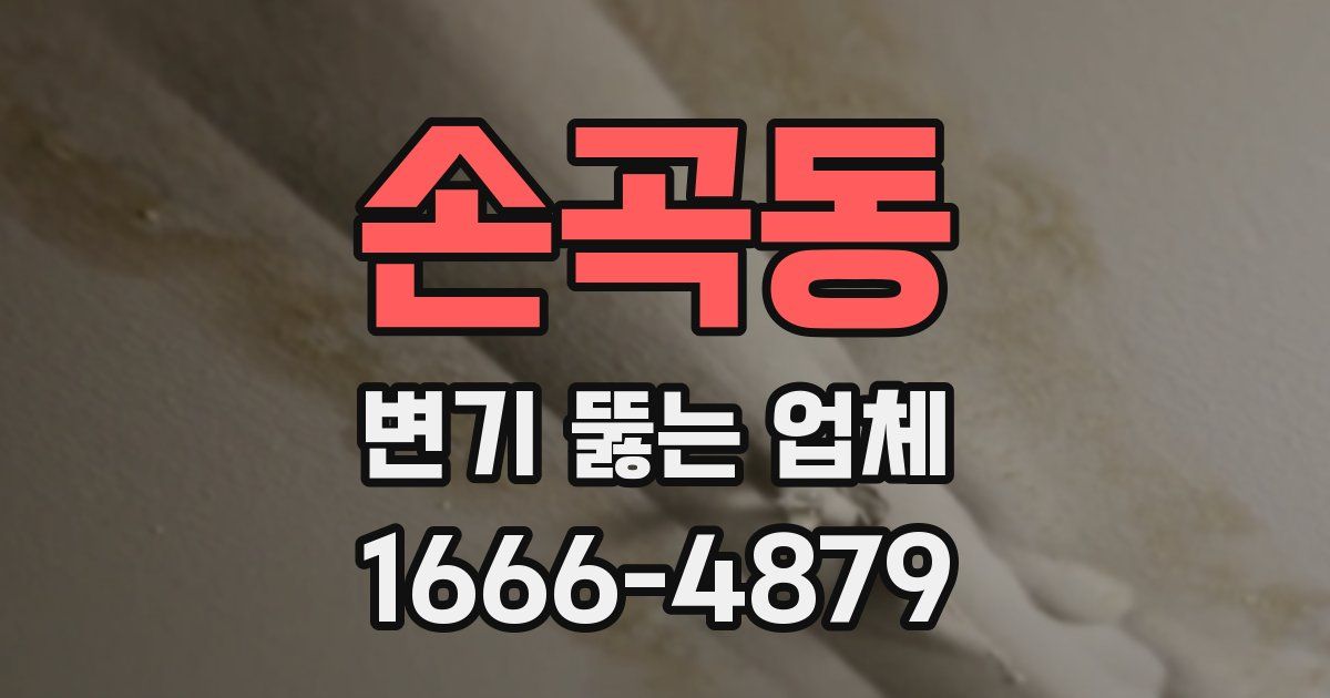 손곡동 변기 뚫는 업체