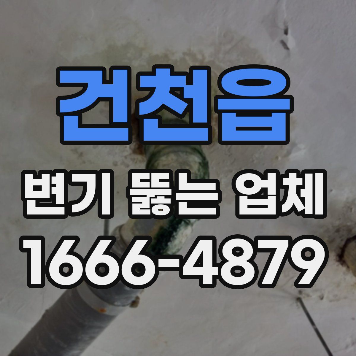 건천읍 변기 뚫는 업체