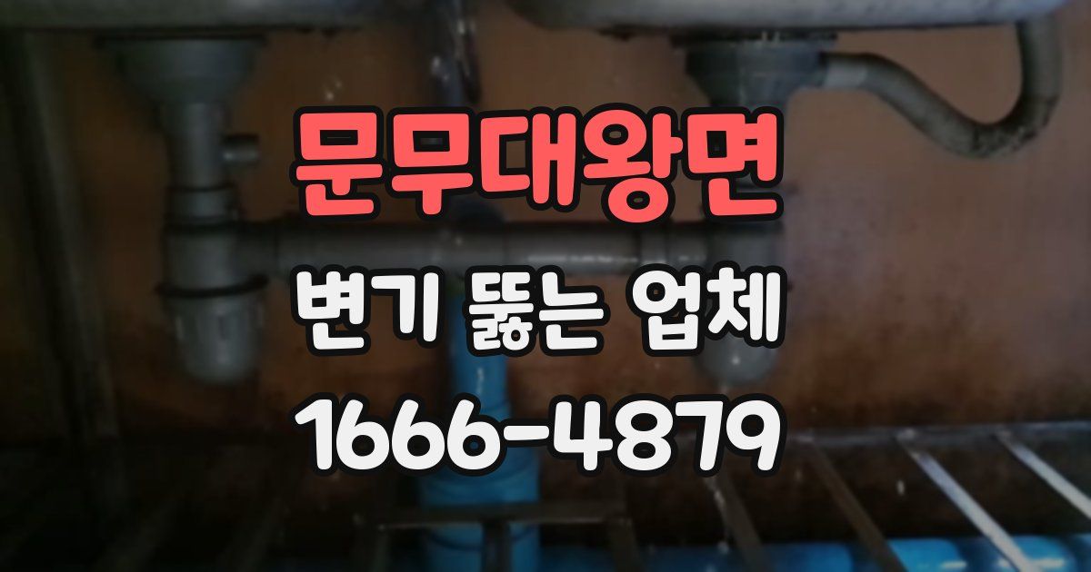 문무대왕면 변기 뚫는 업체