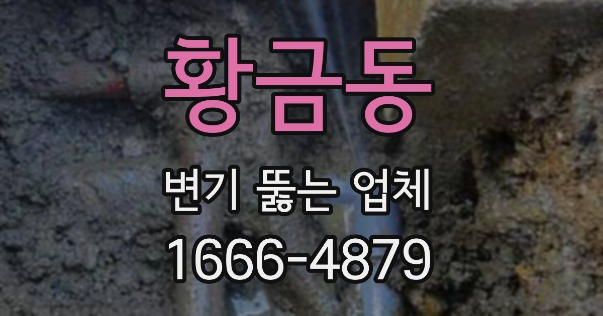 황금동 변기 뚫는 업체