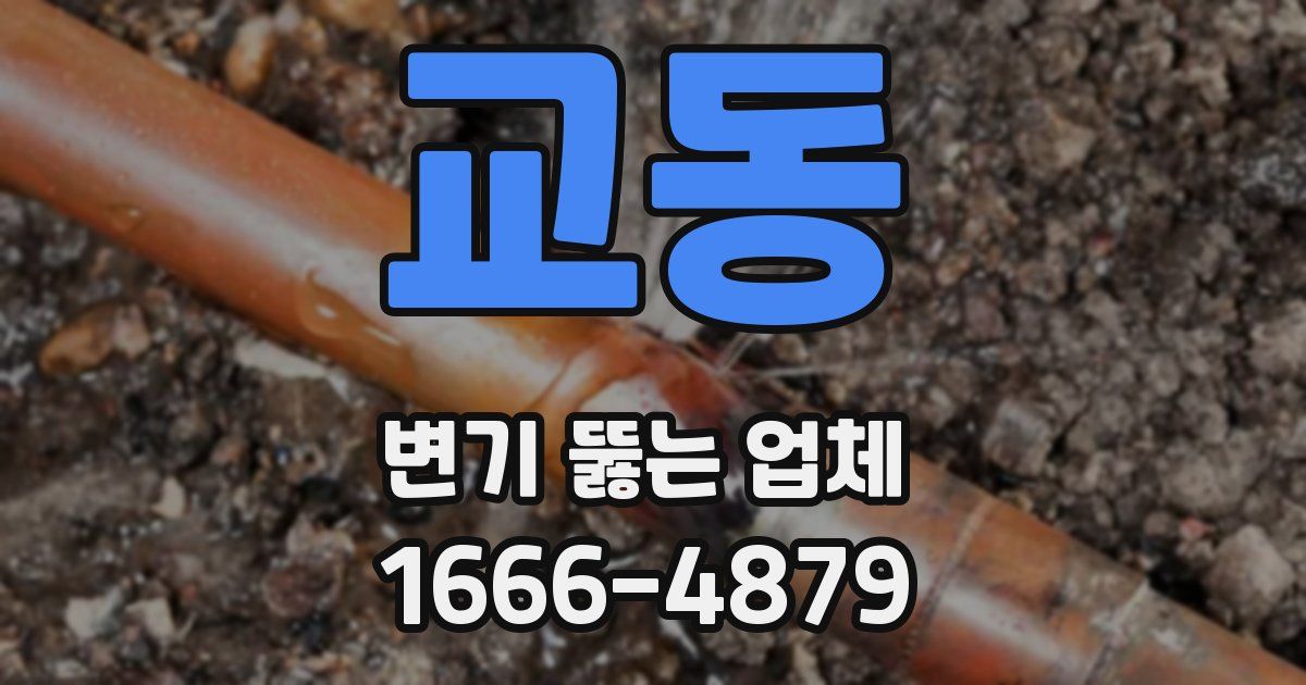 교동 변기 뚫는 업체