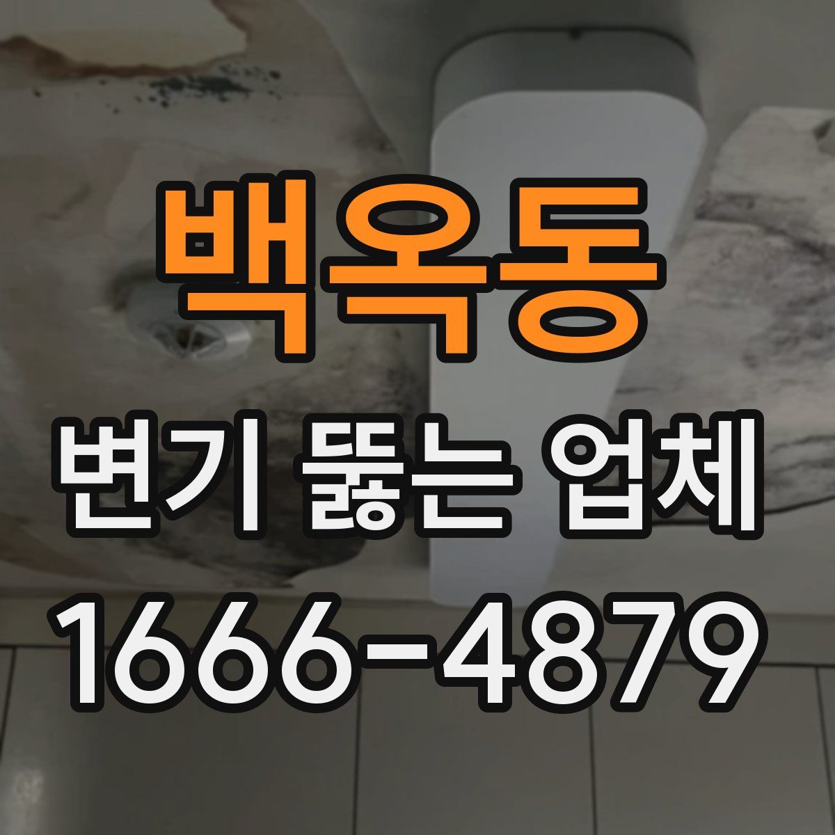 백옥동 변기 뚫는 업체