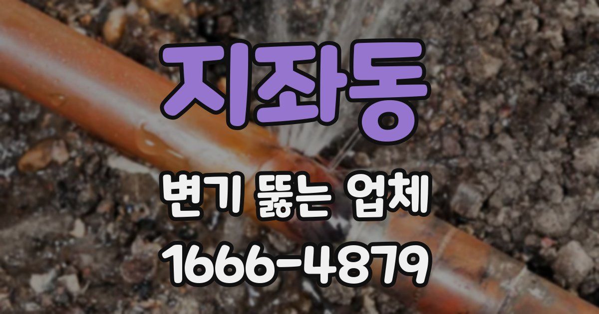 지좌동 변기 뚫는 업체