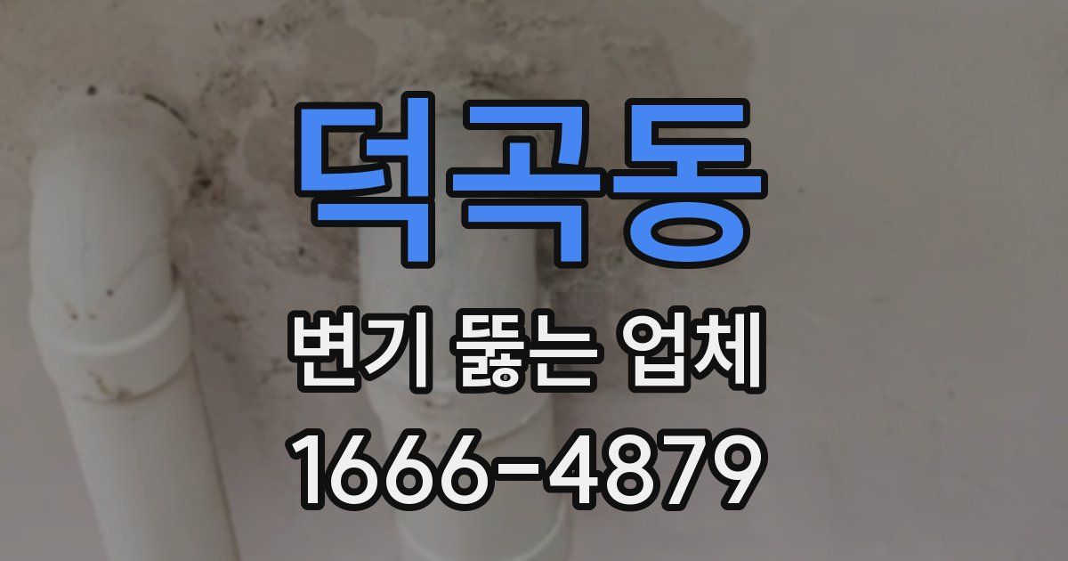 덕곡동 변기 뚫는 업체