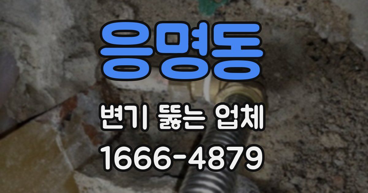 응명동 변기 뚫는 업체