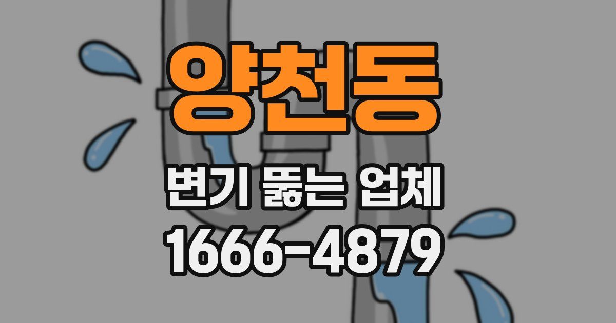 양천동 변기 뚫는 업체