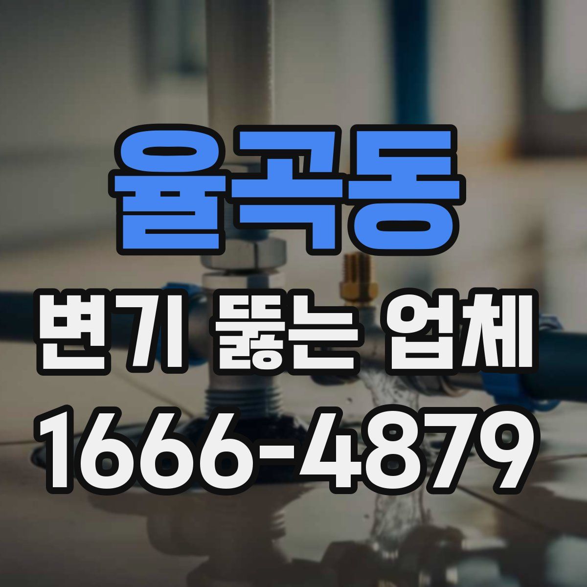 율곡동 변기 뚫는 업체