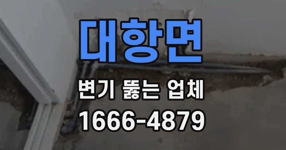 대항면 변기 뚫는 업체
