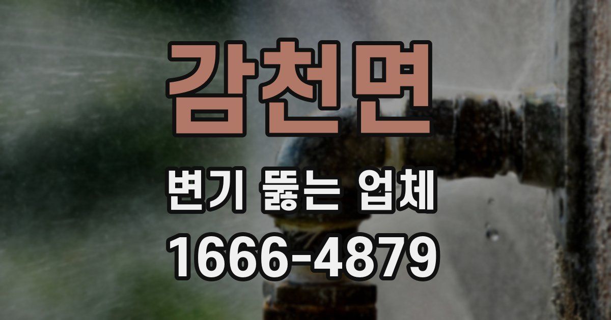감천면 변기 뚫는 업체