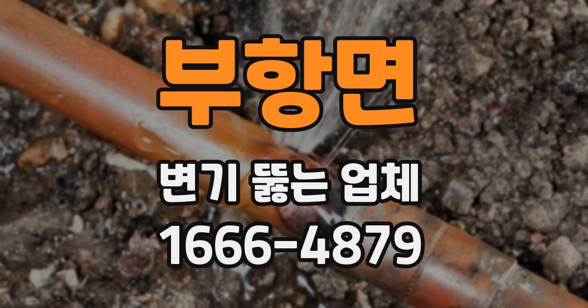 부항면 변기 뚫는 업체