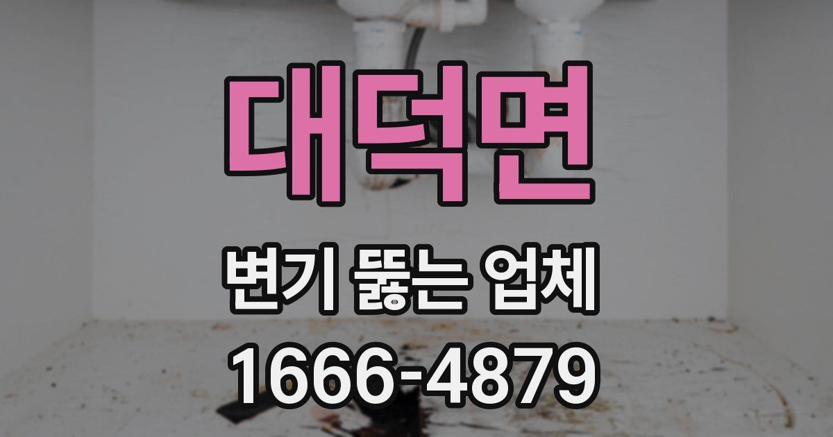 대덕면 변기 뚫는 업체