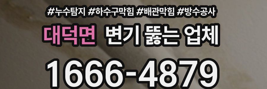 대덕면 변기 뚫는 업체