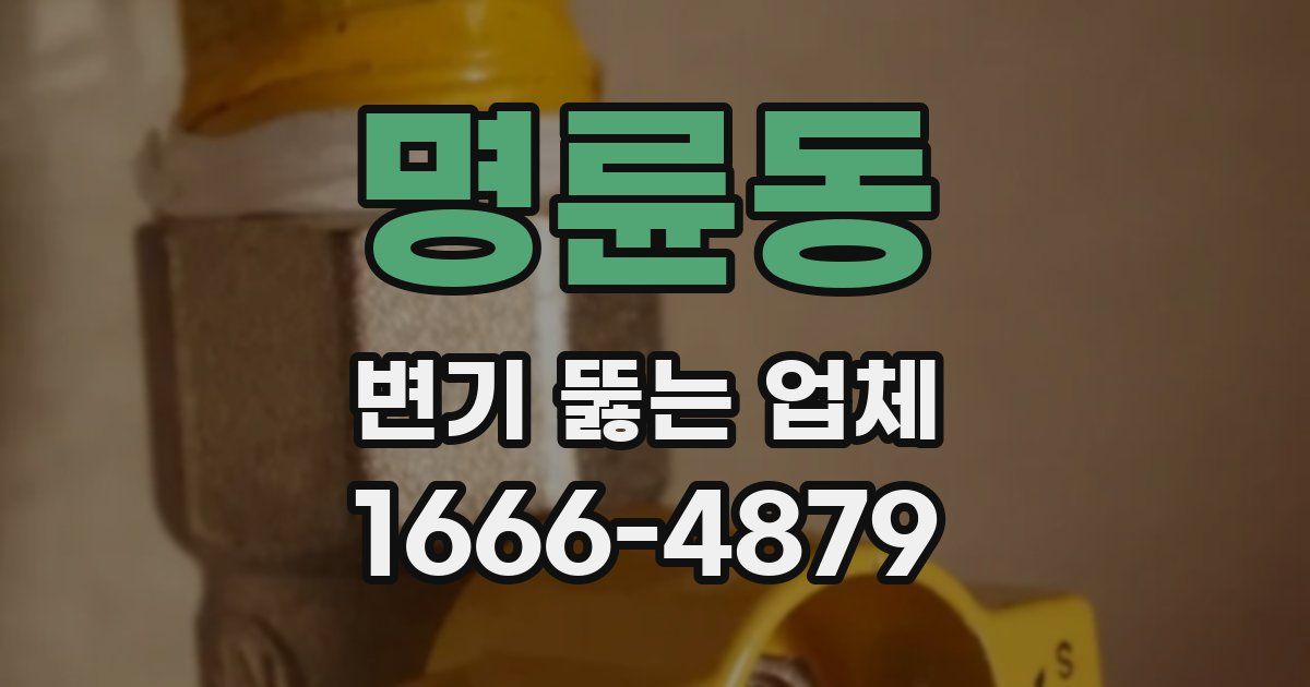 명륜동 변기 뚫는 업체