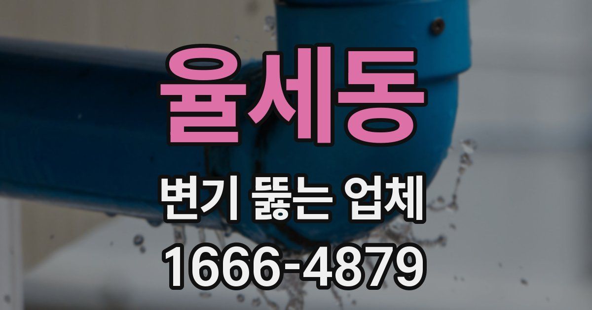 율세동 변기 뚫는 업체