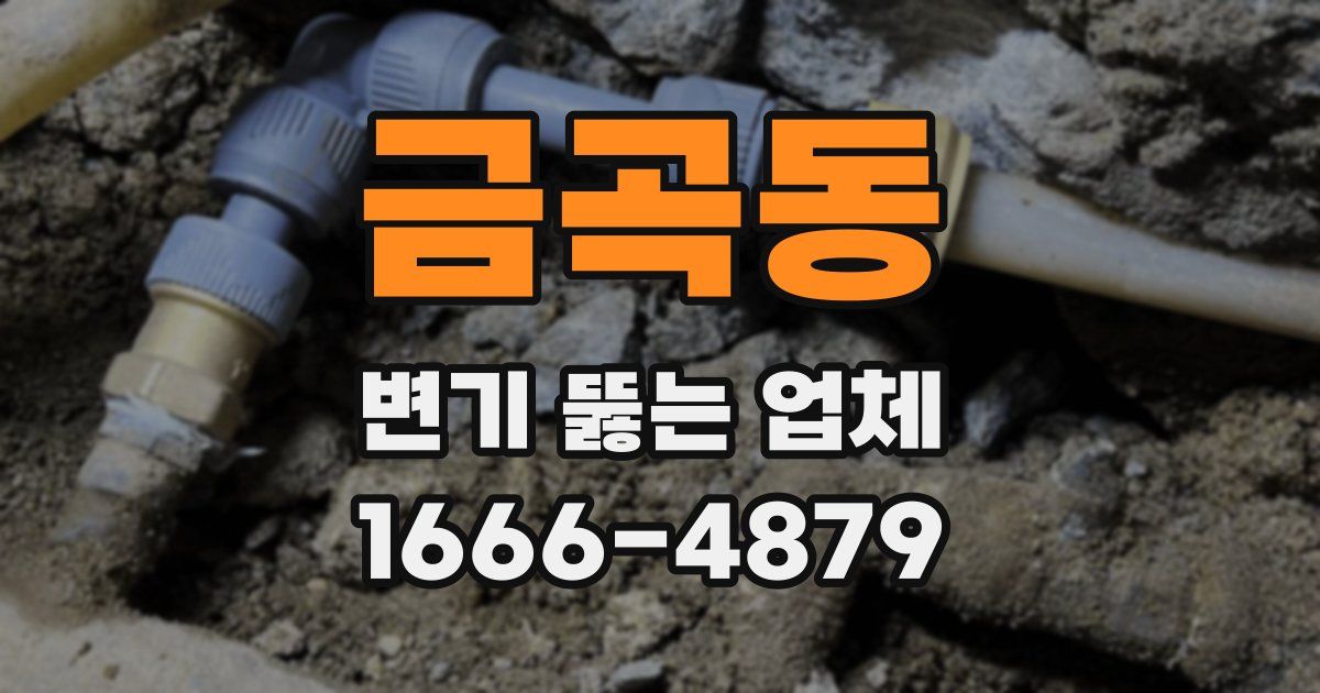 금곡동 변기 뚫는 업체