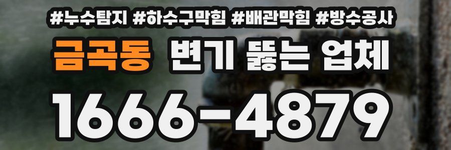 금곡동 변기 뚫는 업체