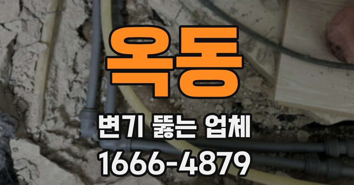 옥동 변기 뚫는 업체