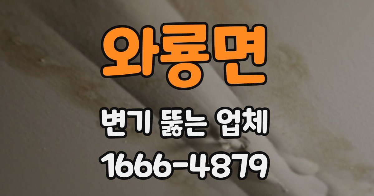 와룡면 변기 뚫는 업체