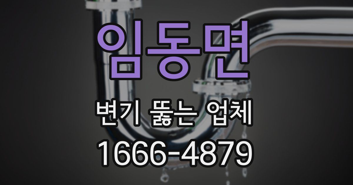 임동면 변기 뚫는 업체