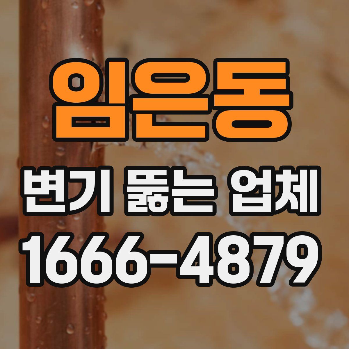 임은동 변기 뚫는 업체