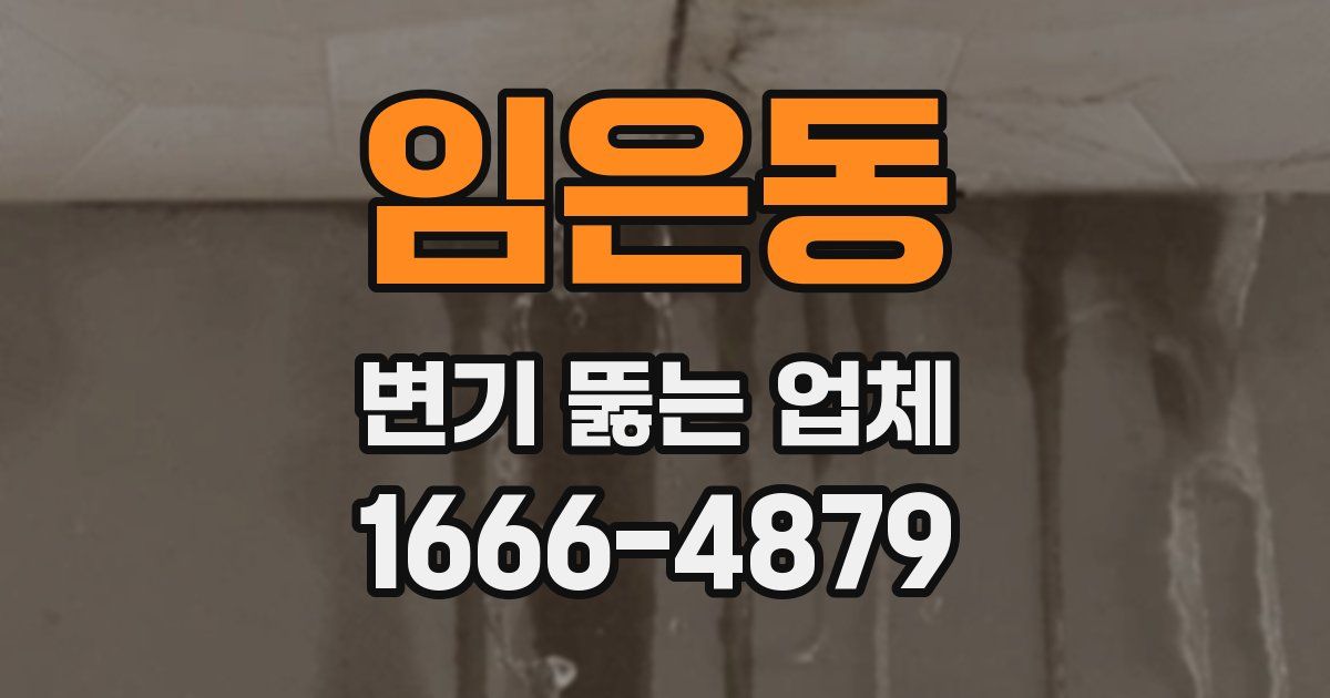 임은동 변기 뚫는 업체