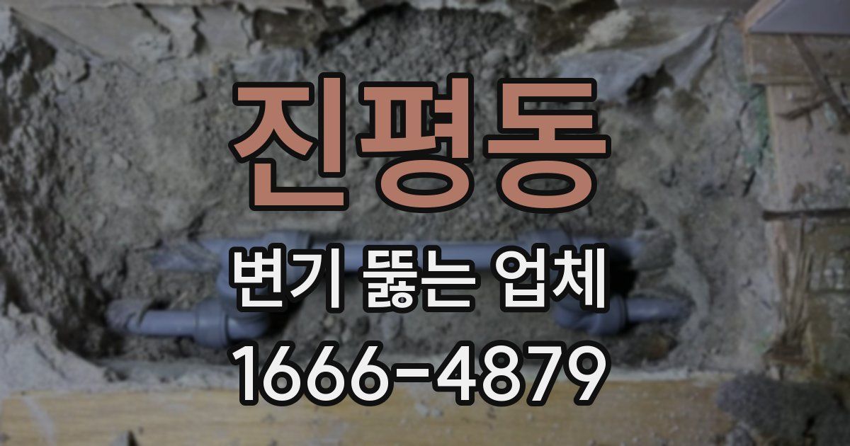 진평동 변기 뚫는 업체