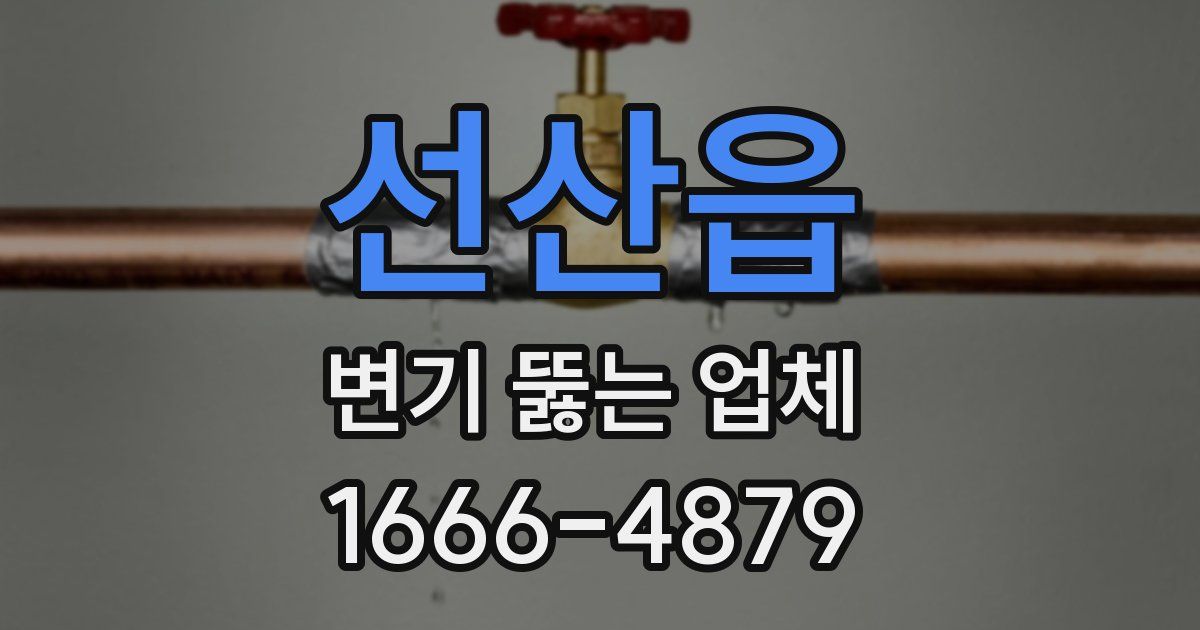 선산읍 변기 뚫는 업체