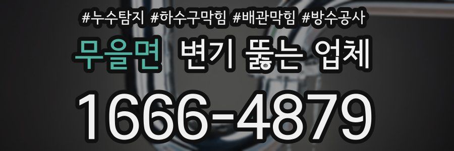 무을면 변기 뚫는 업체