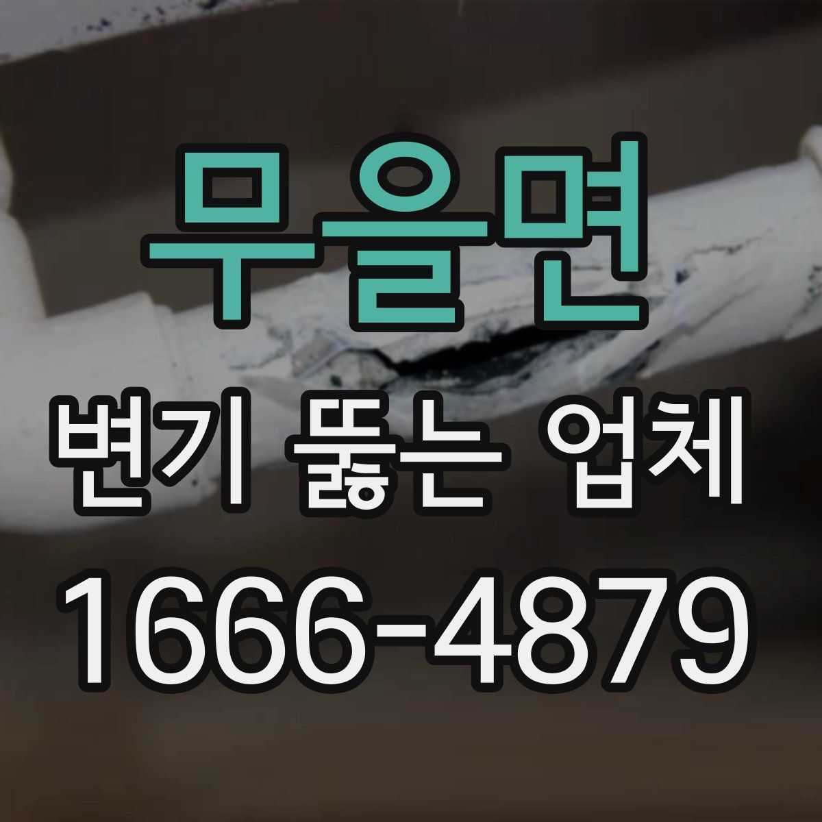 무을면 변기 뚫는 업체