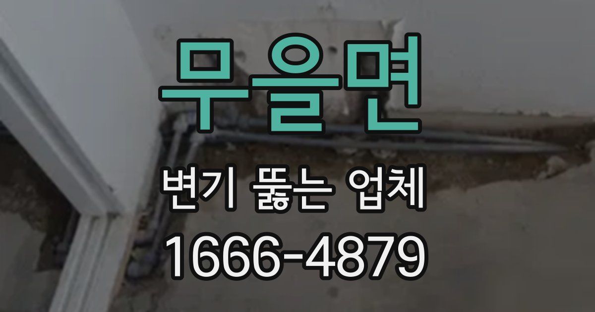 무을면 변기 뚫는 업체