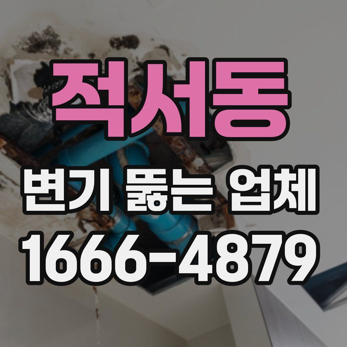 적서동 변기 뚫는 업체