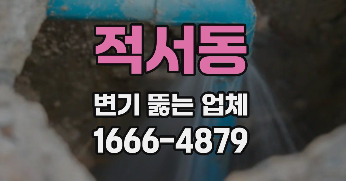 적서동 변기 뚫는 업체