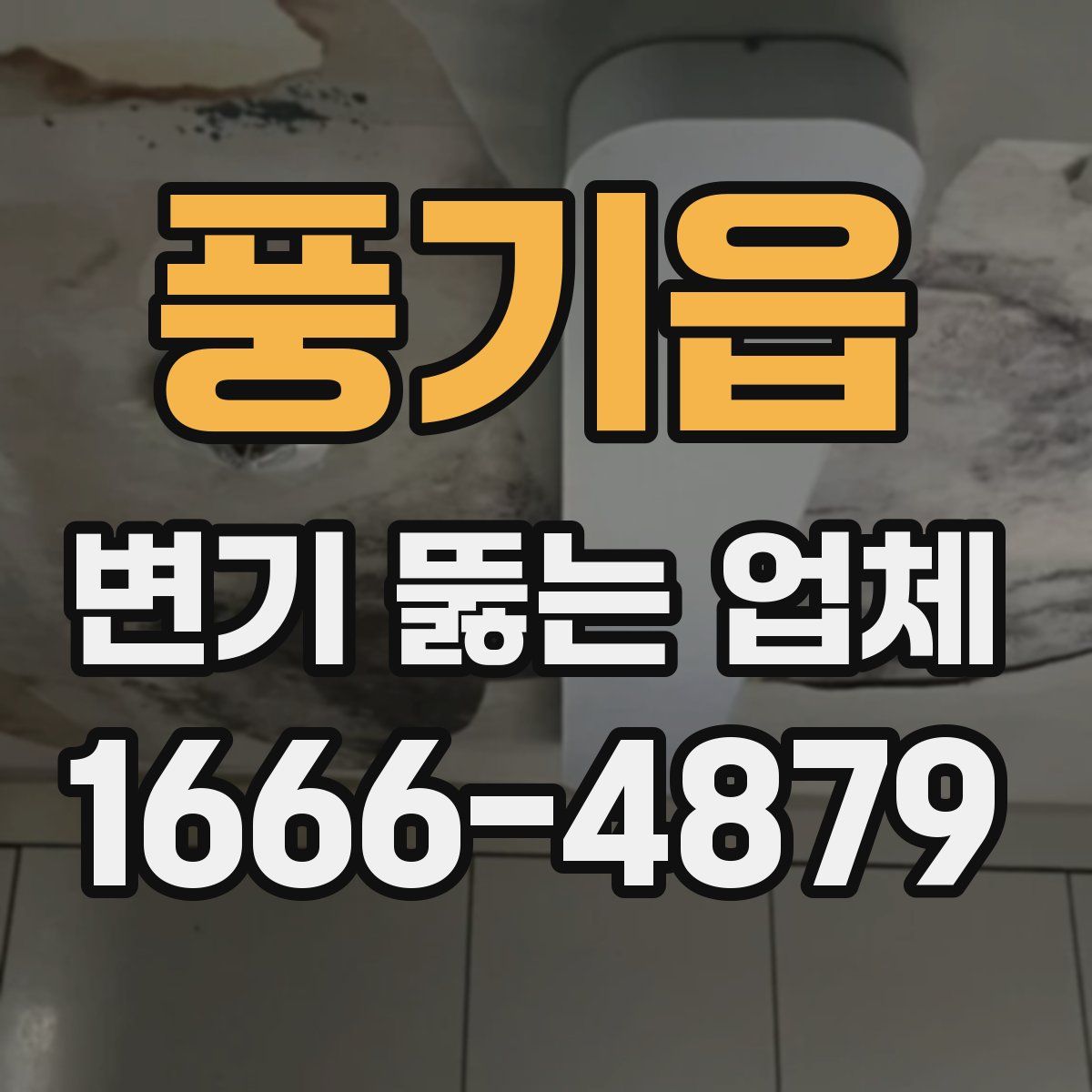 풍기읍 변기 뚫는 업체