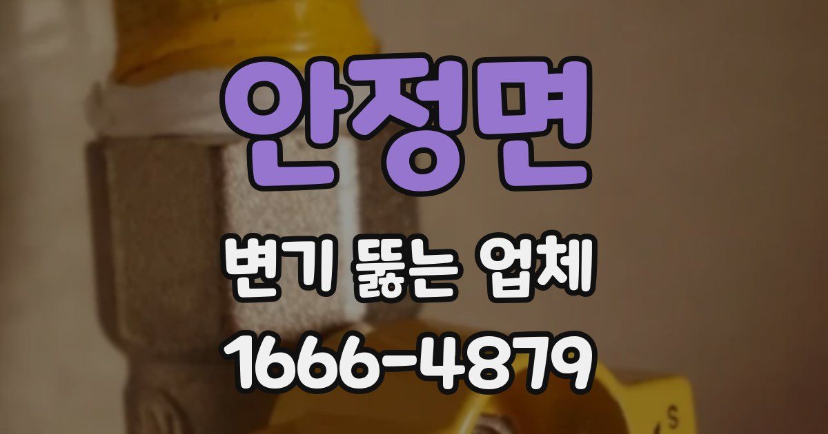 안정면 변기 뚫는 업체