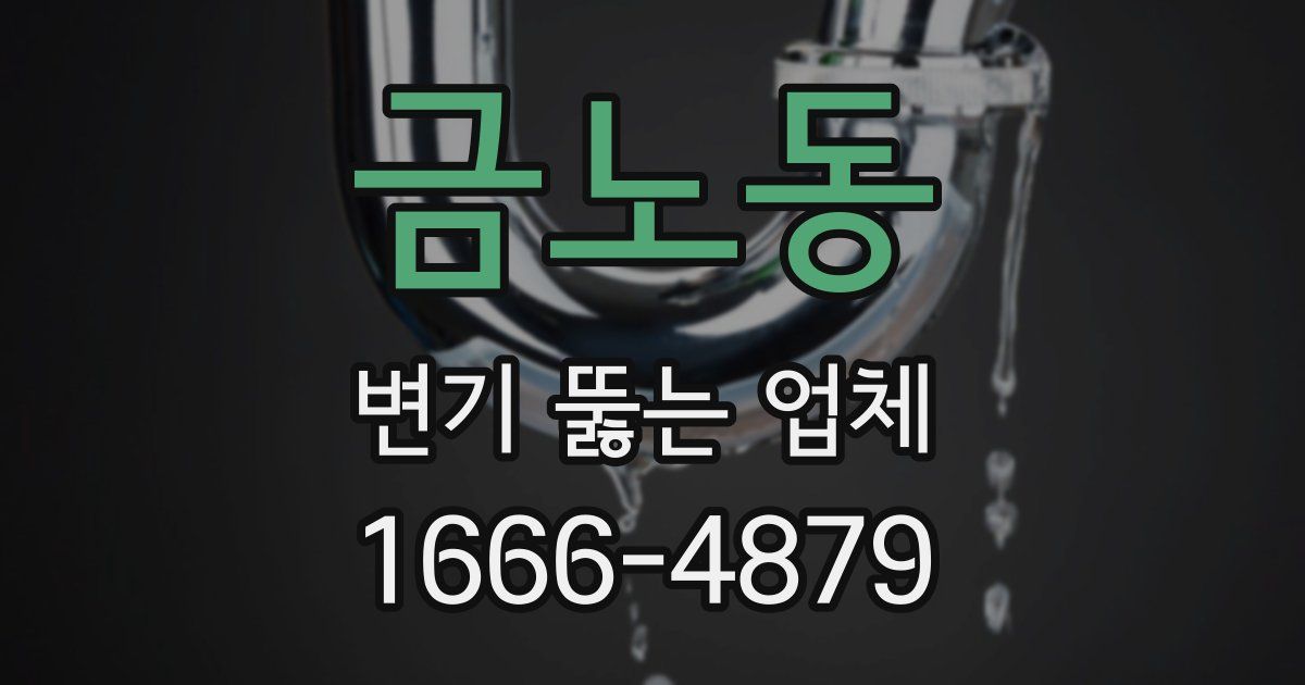 금노동 변기 뚫는 업체