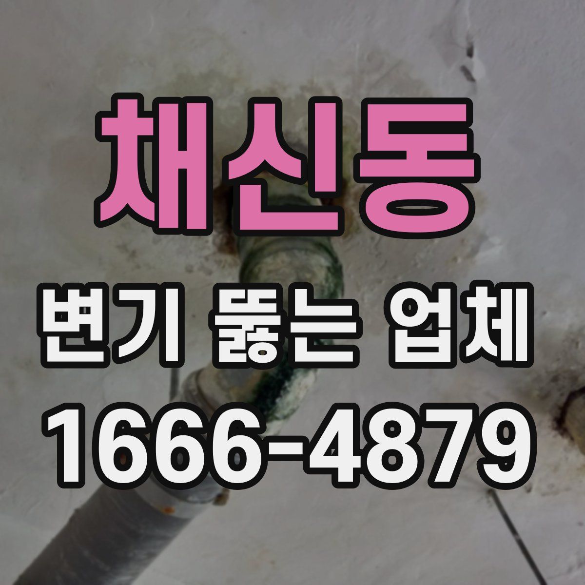 채신동 변기 뚫는 업체