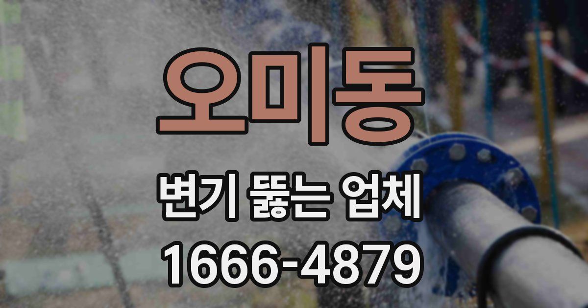 오미동 변기 뚫는 업체