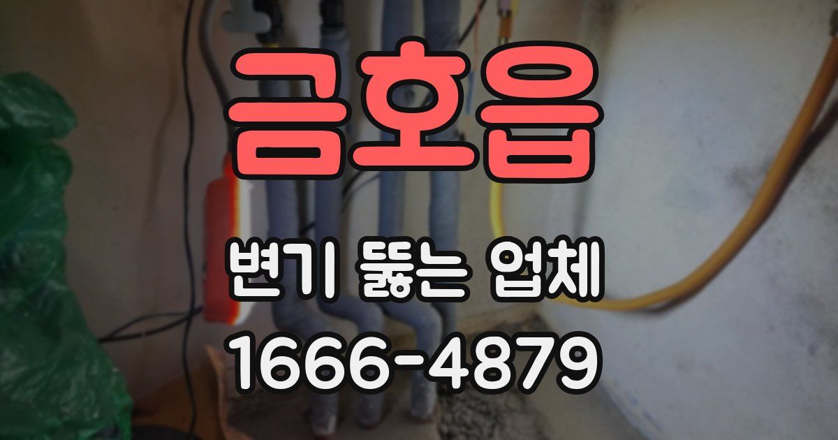 금호읍 변기 뚫는 업체