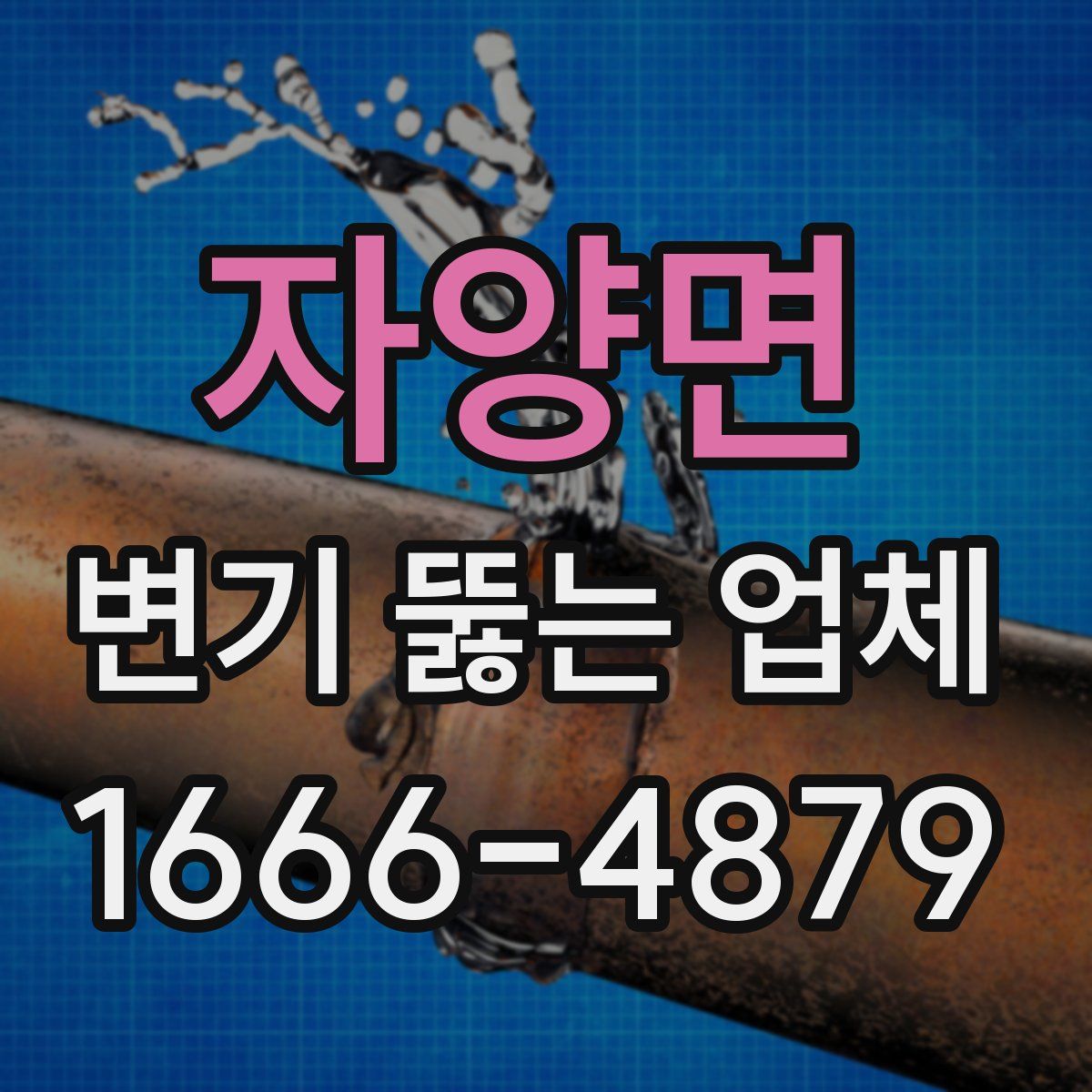 자양면 변기 뚫는 업체