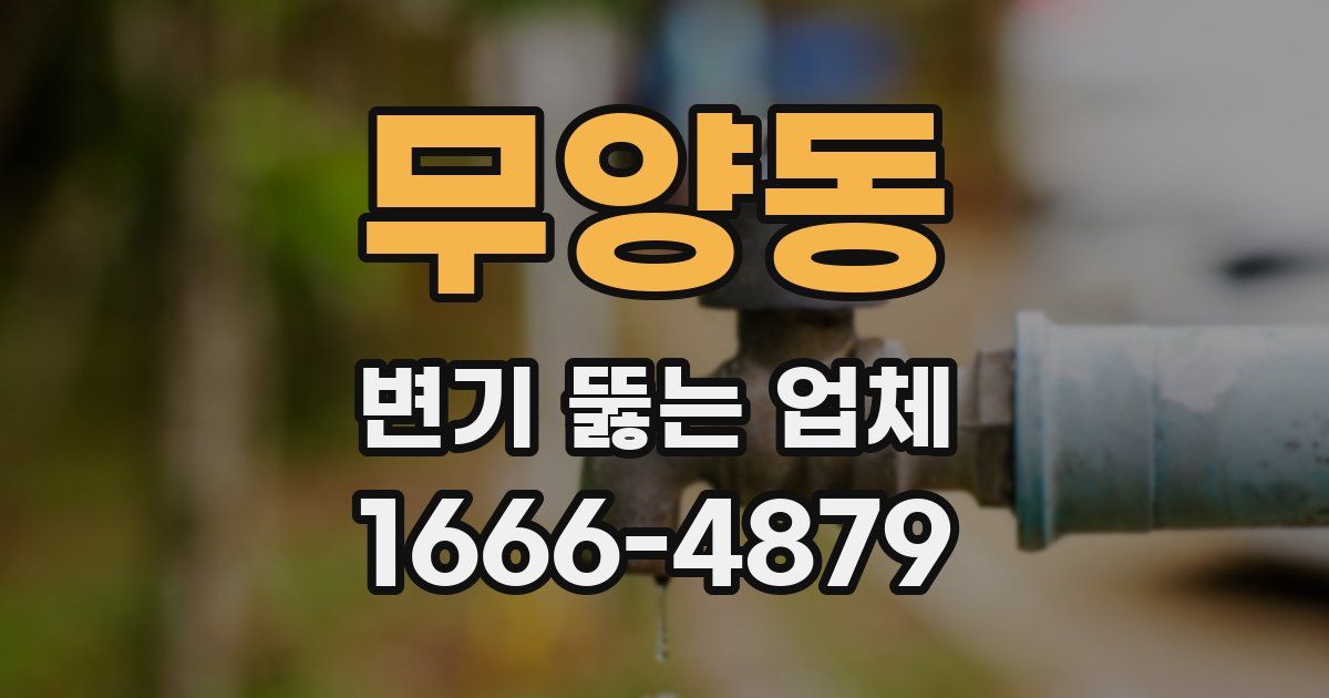 무양동 변기 뚫는 업체
